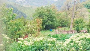 Community Recycling for Organic Produce