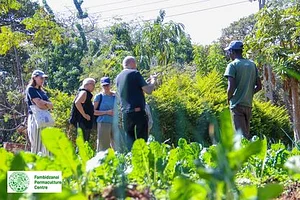 Fambidzanai Permaculture Centre