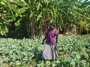 Fambidzanai Permaculture Centre
