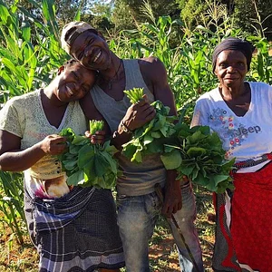Malawi Schools Permaculture Clubs