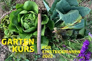 Grünhölzli - Community garden
