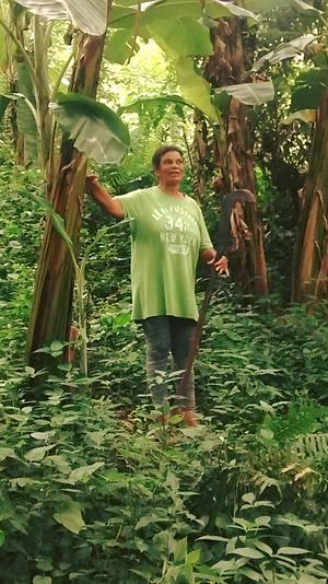 Programa de Desenvolvimento Local do Agreste da Paraíba