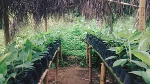 AS-PTA Agricultura Familiar e Agroecologia
