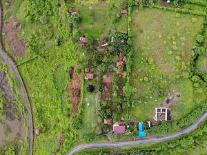 Saifana Organic Farm