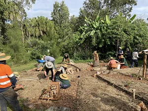 Working together