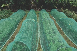 Ba Sian Sustainable Farm