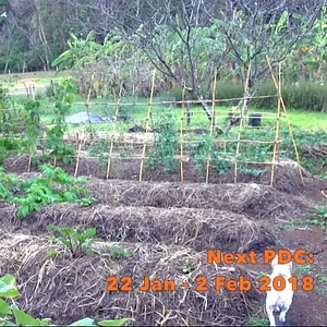Kendall Permaculture Farm