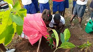 Environmental Awareness and Tree Planting
