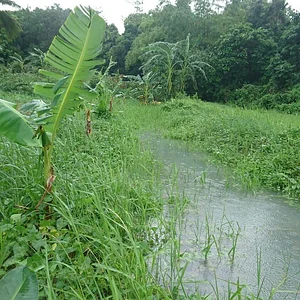 Likhalikasan Permaculture Farm