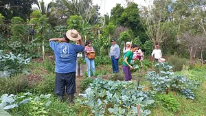 Un día de aprendizaje