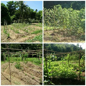 Likhalikasan Permaculture Farm