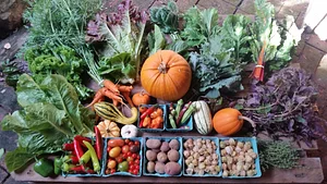 Food is life, diversity is strength