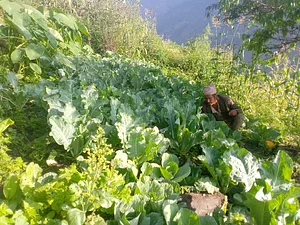 Himalayan Permaculture Centre