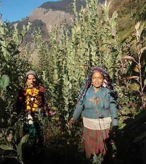 Himalayan Permaculture Centre