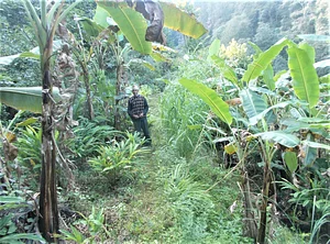 Himalayan Permaculture Centre