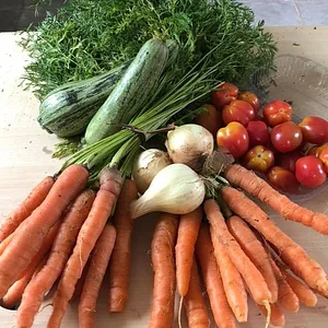 Alimentos orgânicos
