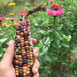 Soul Fire Farm