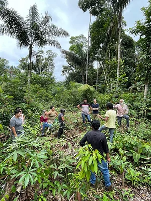 Aprendendo sobre Agrofloresta