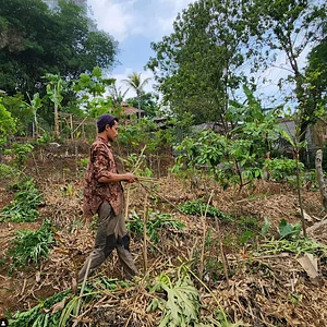 Mas Bunyamin salah satu volunteer kami