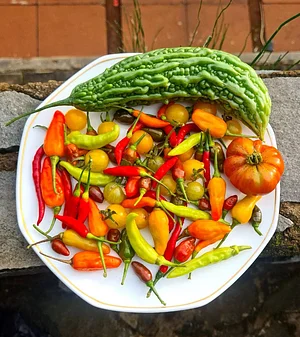 Kebun Hanif Regenerative Culture
