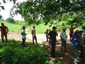 Rede Alagoana de Agroecologia
