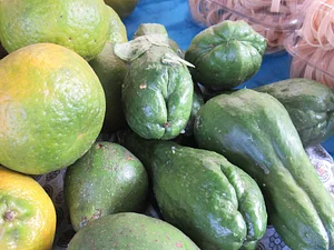 Chuchu orgânico