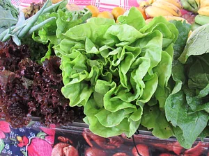 Produtos agroecológicos