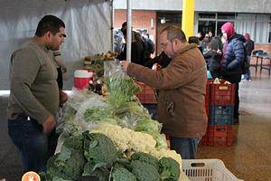 FEPOUT - Feira de Produtos Orgânicos da UTFPR Pato Branco