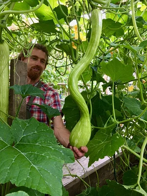 Incredible Farm