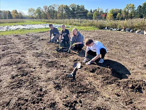 Preparing the soil for planting