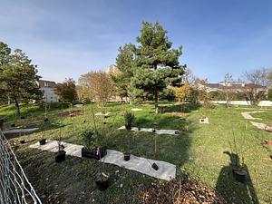 Jardin-forêt des Morettes