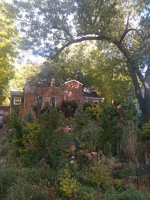 Firouzan Food Forest