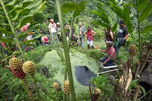 Atitlan Organics