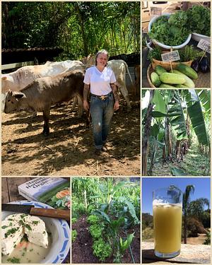 Faz Cachoeira Agrofloresta