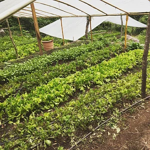 Atitlan Organics