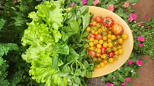 Some nutrition from our garden