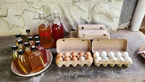 Some product from our garden