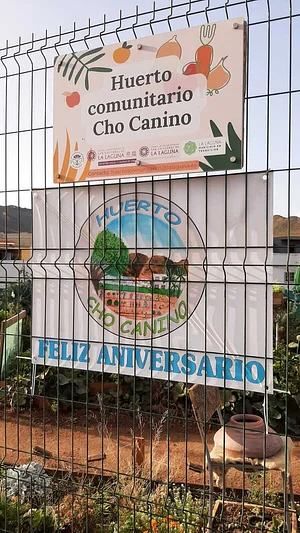 1° Aniversario
