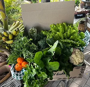 Fresh vegetables