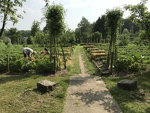 Werken in de tuin