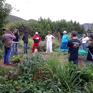 Permaculture class