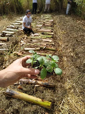 Intercâmbios Agroecológicos CTA 13