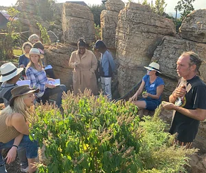 Nkwe Agroforestry