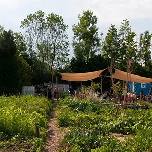 Grünhölzli - Community garden