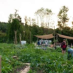Grünhölzli - Community garden
