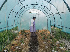 Grünhölzli - Community garden