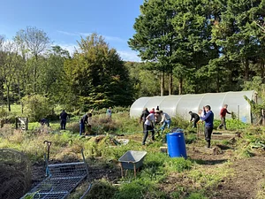 A team building day