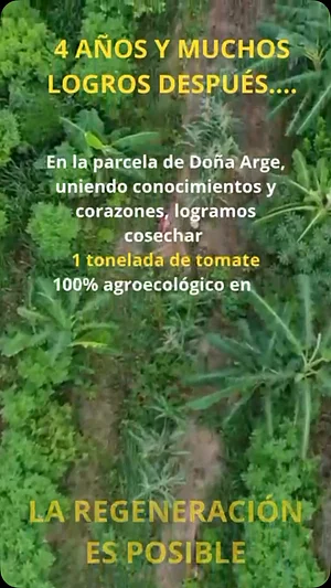 Cultiva - alternativas de regeneración