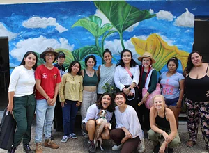 Cultiva - alternativas de regeneración