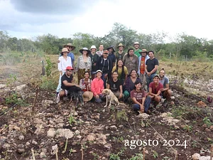 Cultiva - alternativas de regeneración